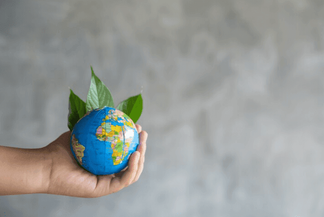 Environmental Impact: Reduce Carbon & Help Pakistan
