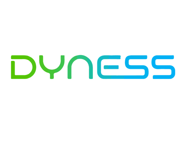 Dyness